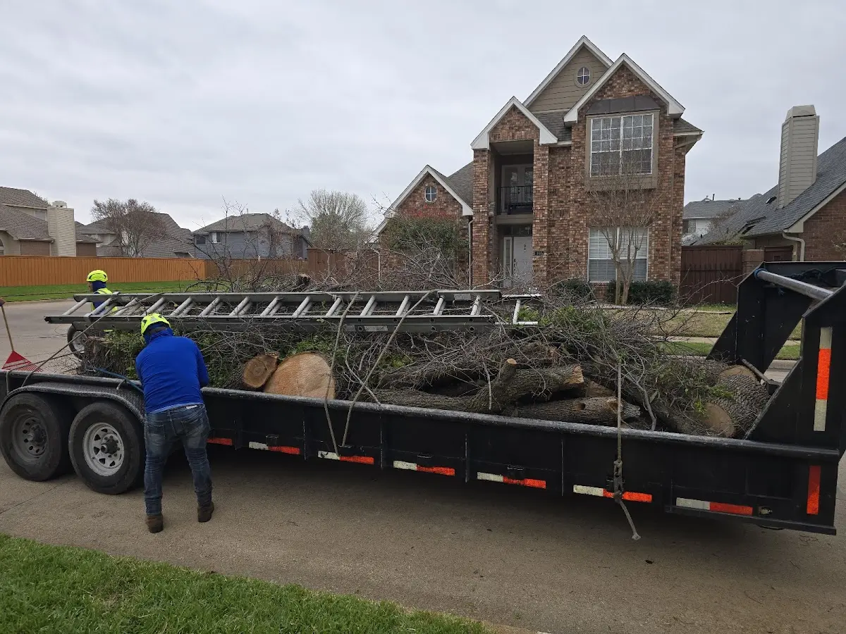 Expert Tree Fertilization with proper safety equipment in Mandan